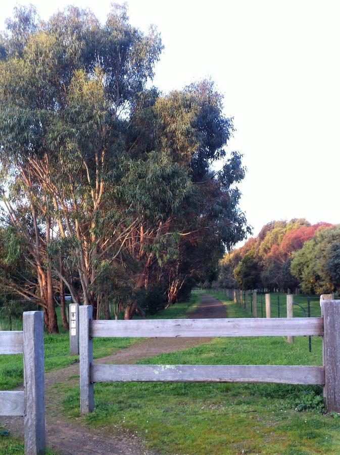 The Estate Koroit Boutique Hotel Exterior photo